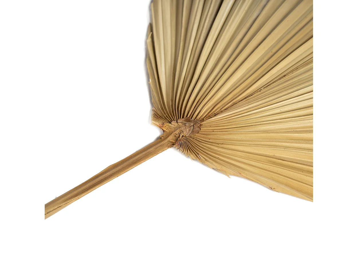 La Feuille Rayung - Naturelle