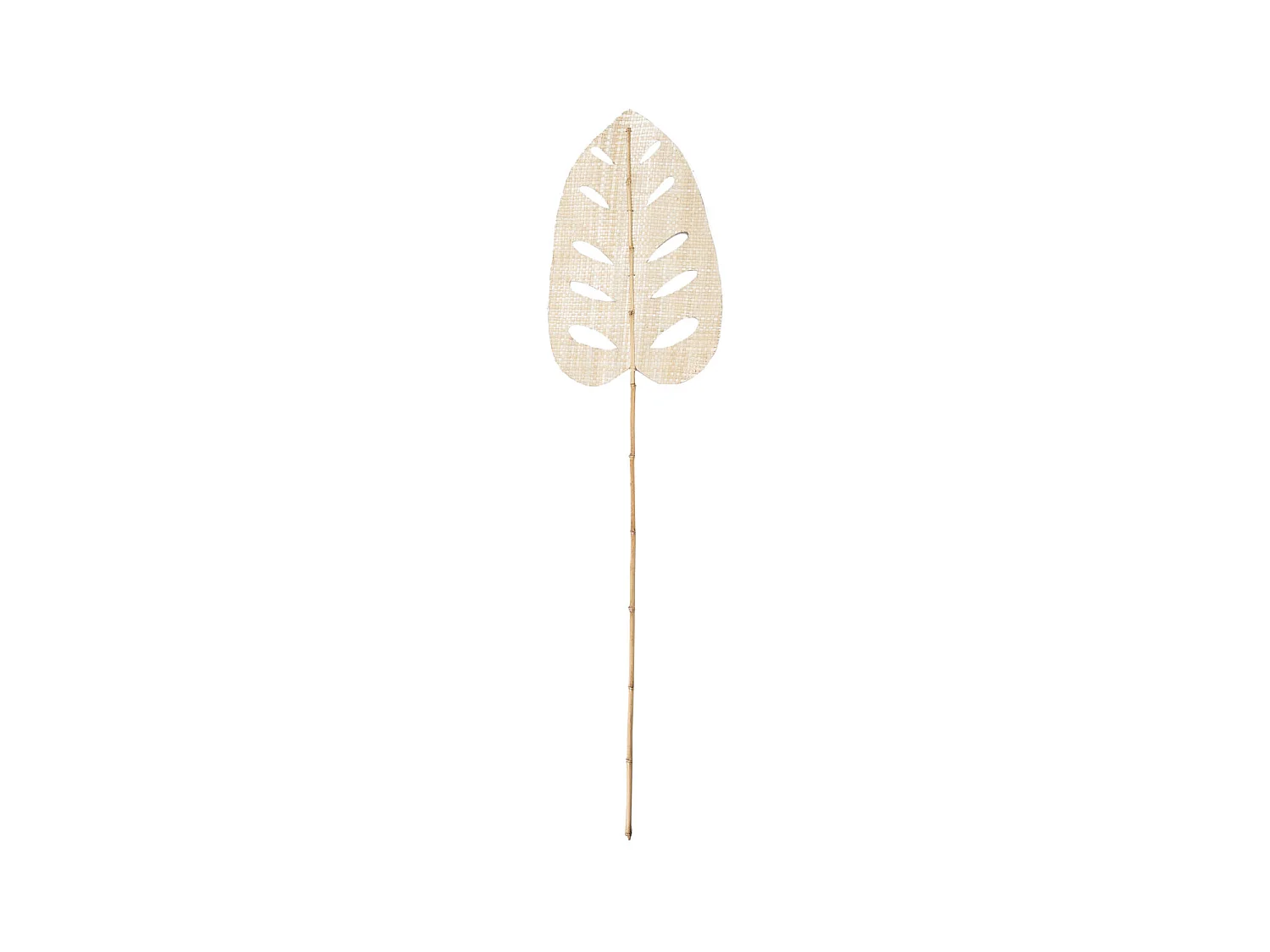 Le Water Hyacinth Leaf - Naturel