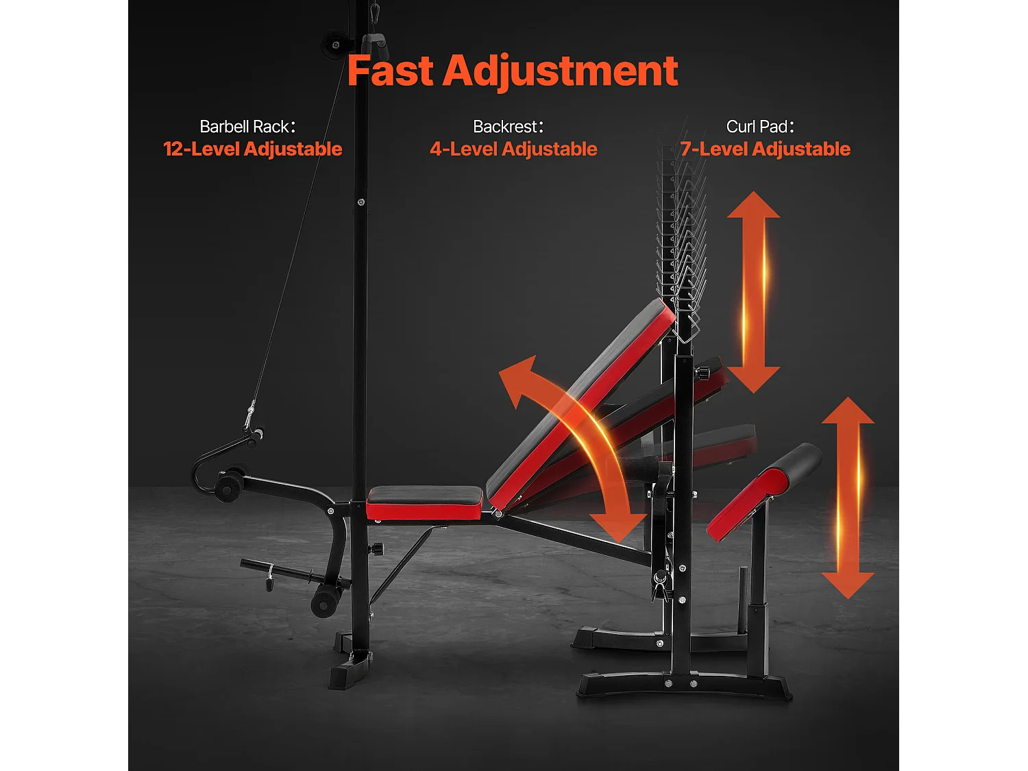 Panca Pesi Regolabile SucceBuy per Allenamento in Palestra a Casa, Panca per Addominali