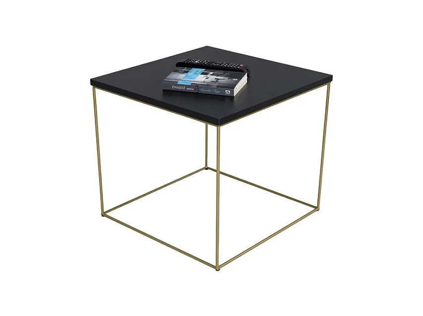 Table basse Alina Premium/Contreplaqué/Métal/Noire