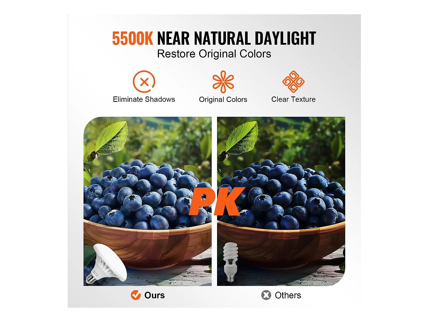 Kit d'Éclairage Softbox SucceBuy, 51 x 71 CM, Ampoules LED 30 W 5 500 K, Support Réglable