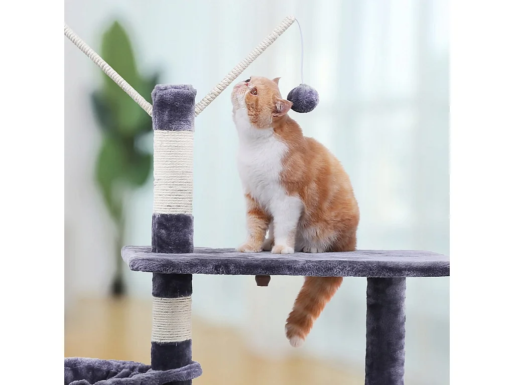 Grattoir à picots - PCT35G