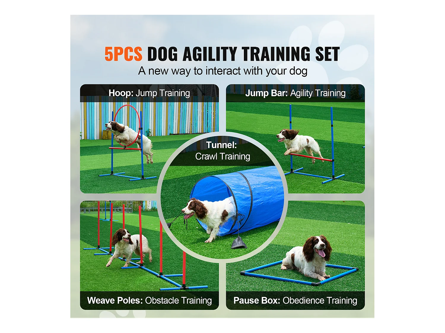 Kit d'Agilité, SucceBuy Dog Agility Training Equipment, Ensemble de 5 Pièces avec Tunnel de Haies et Cercau de Saut