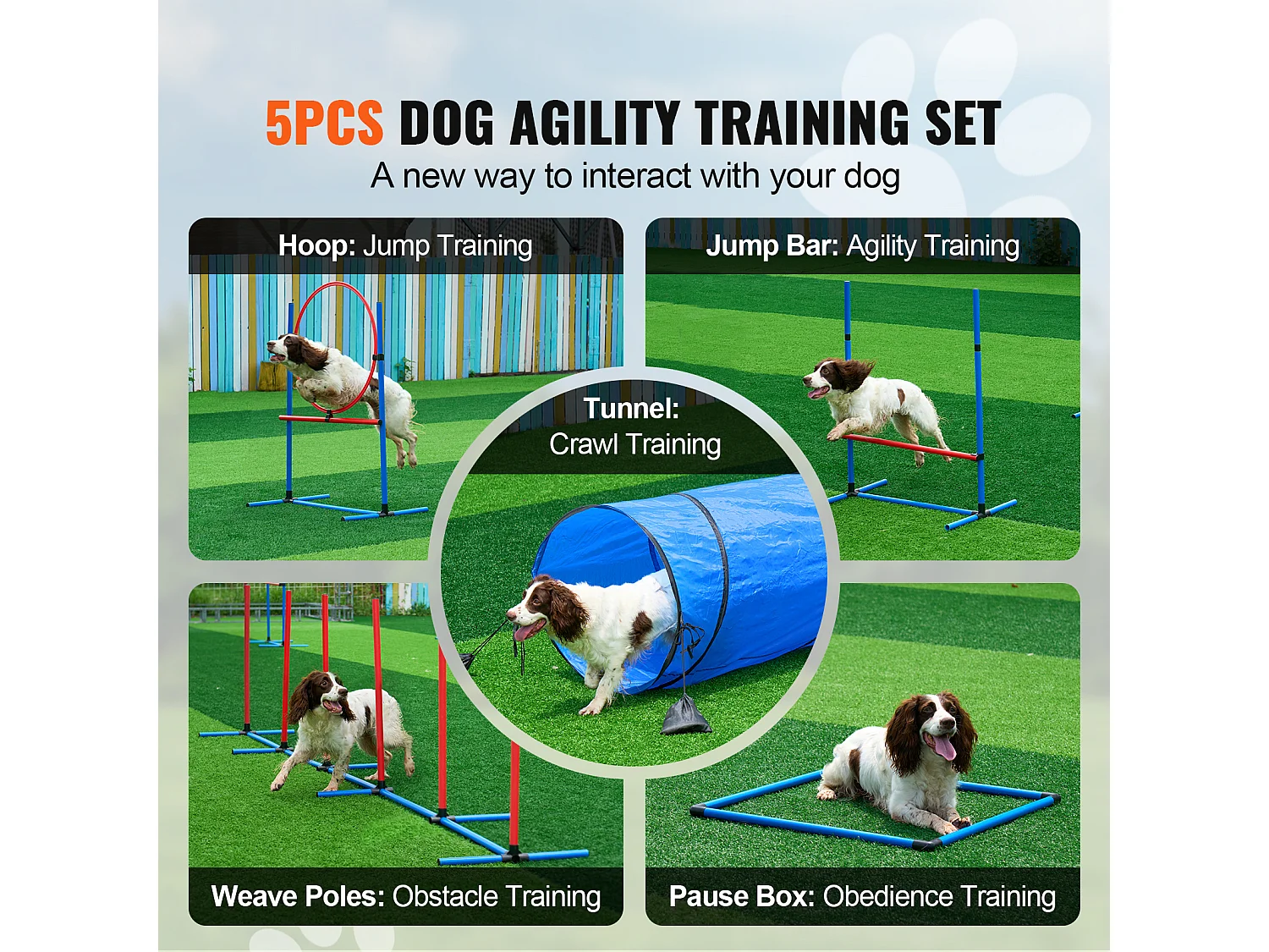 Agility-Set, SucceBuy Hunde-Agility-Trainingsausrüstung, 5-teiliges Set mit Hürdentunnel und Springreifen