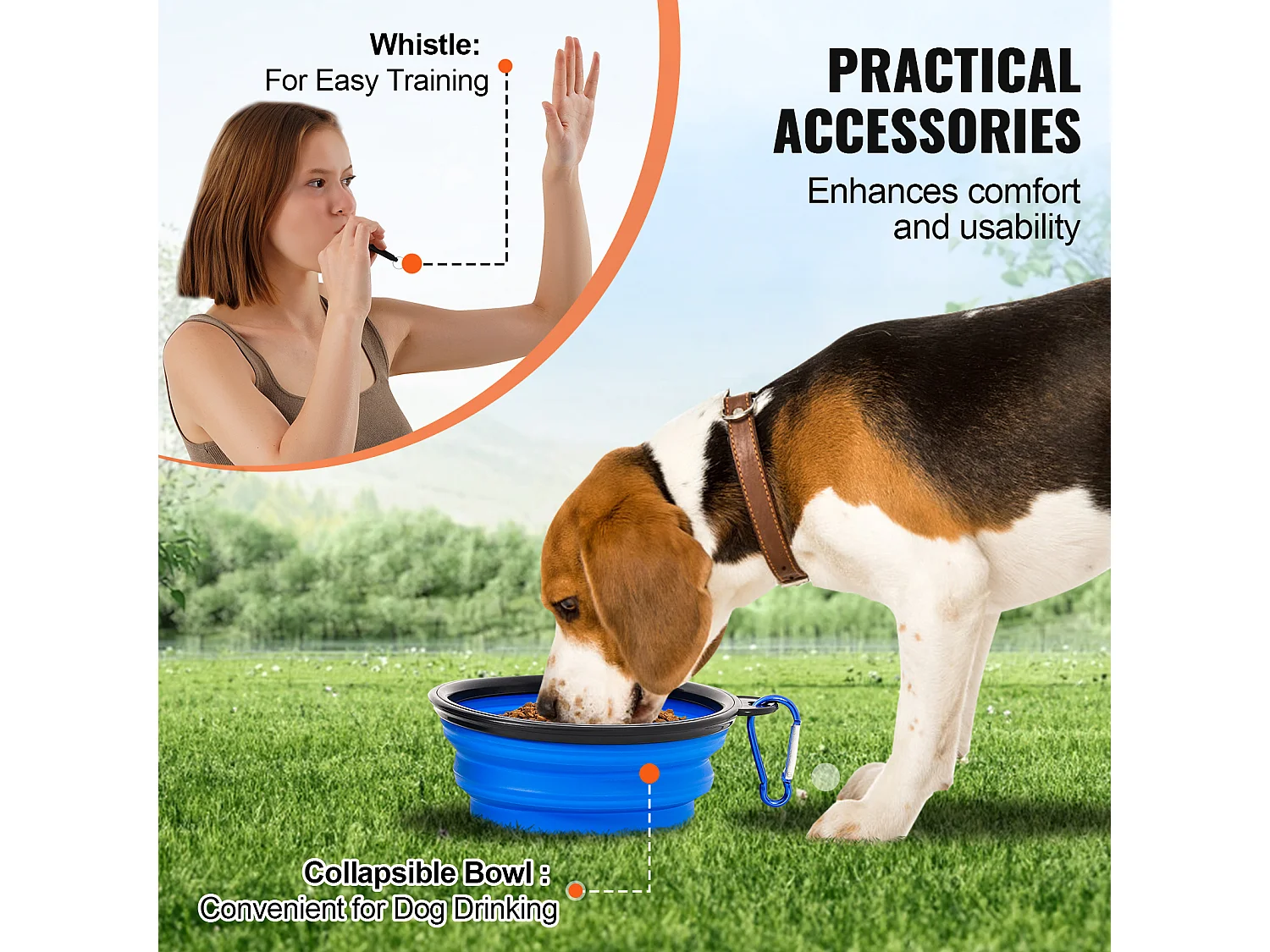 Agility-Set, SucceBuy Hunde-Agility-Trainingsausrüstung, 5-teiliges Set mit Hürdentunnel und Springreifen