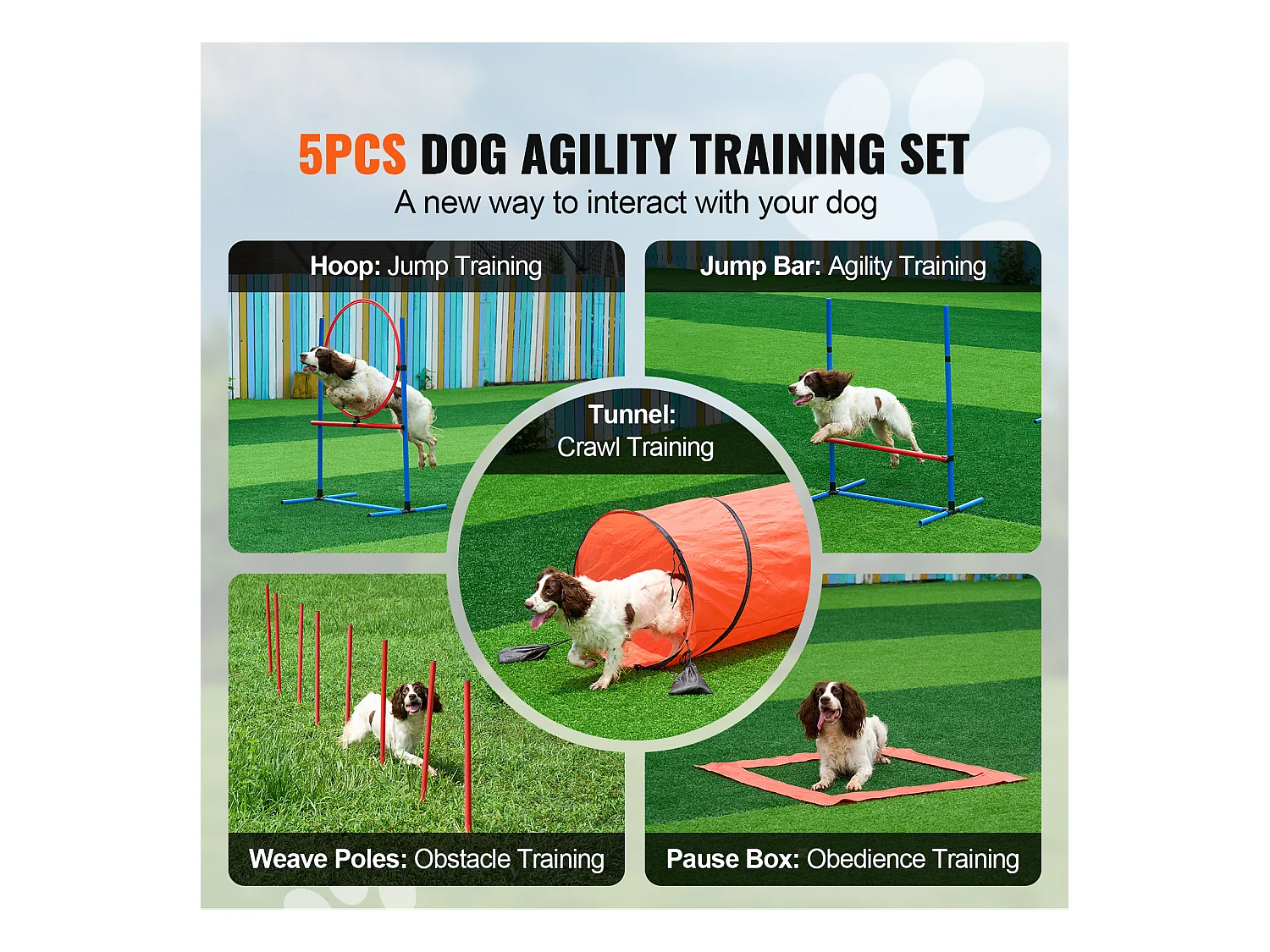 Kit d'Agilité, SucceBuy Dog Agility Training Equipment, Ensemble Combiné de 5 Pièces avec Tunnel de Clôture