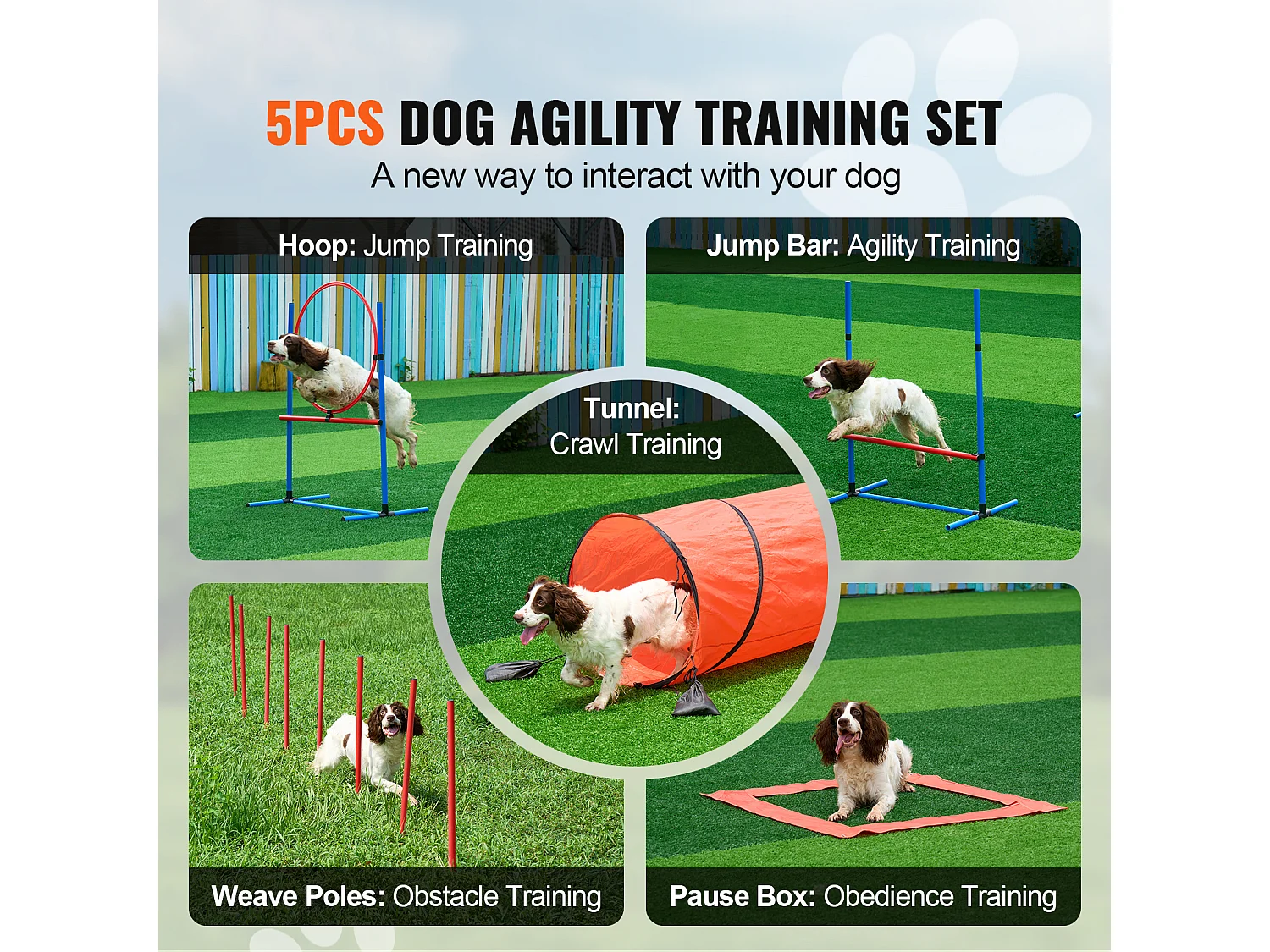 Kit d'Agilité, SucceBuy Dog Agility Training Equipment, Ensemble Combiné de 5 Pièces avec Tunnel de Clôture
