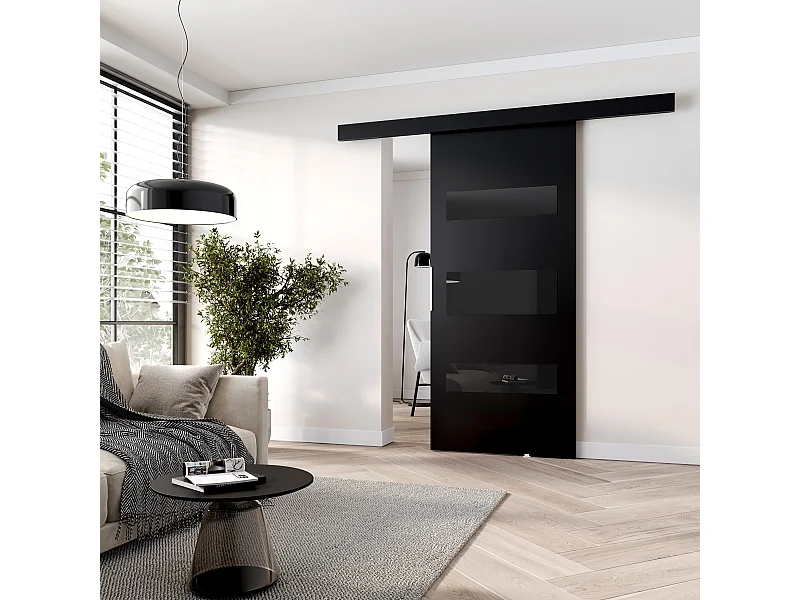 MINIO go for it, porte coulissante CLEAN D 76 cm portes de chambre | Noir