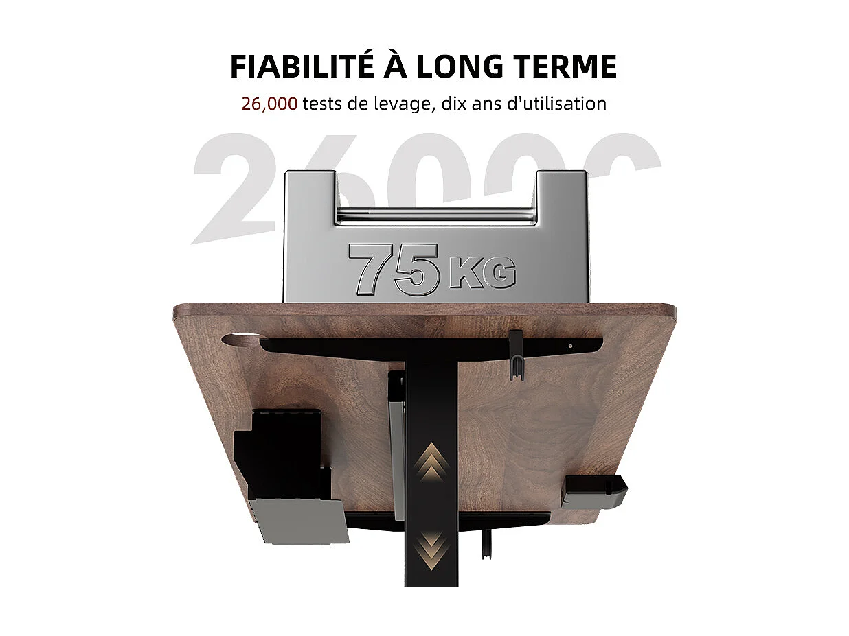 Bureau électrique assis-debout 140x70 cm – Hauteur réglable – Mémoire & anti-collision – Ports USB-A & Type-C – Finition bois noyer