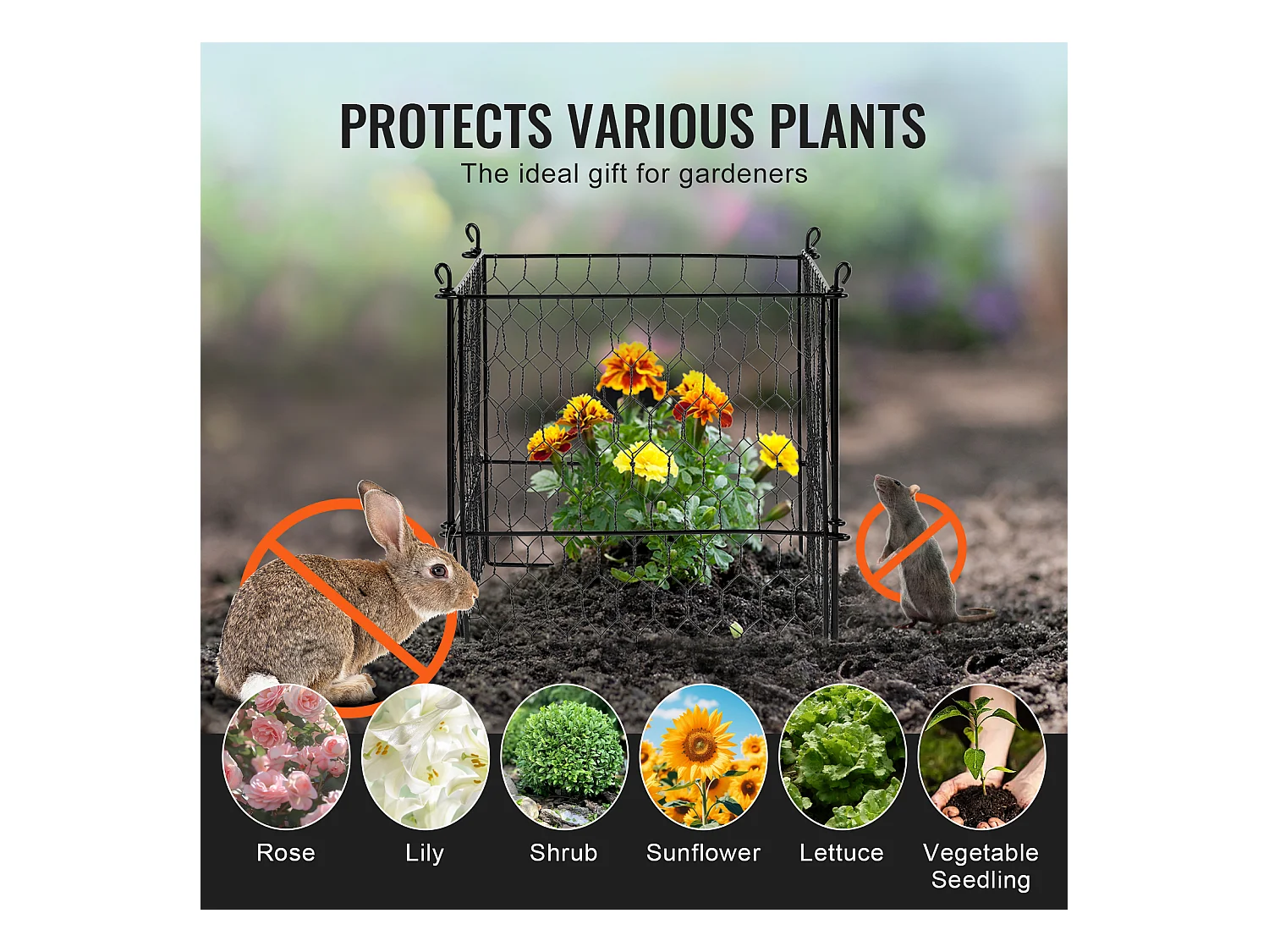 Cages et Supports pour Plantes SucceBuy, 34 x 34 cm, 4 Pièces, Métalliques pour Plantes, Garde les Animaux à l'Extérieur