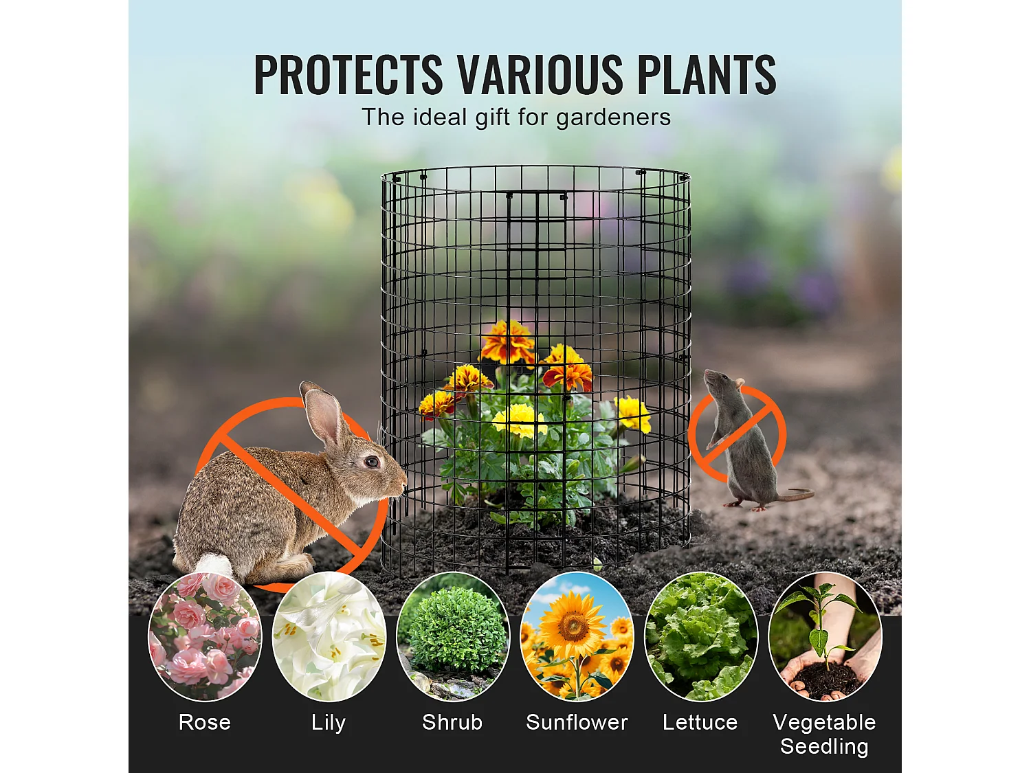 Cages et Supports pour Plantes SucceBuy, 6 Pièces, 32 cm de Diamètre x 35,6 cm de Hauteur, Garde les Animaux à l'Extérieur