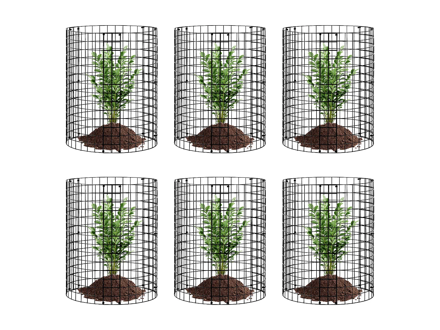 Cages et Supports pour Plantes SucceBuy, 6 Pièces, 32 cm de Diamètre x 35,6 cm de Hauteur, Garde les Animaux à l'Extérieur