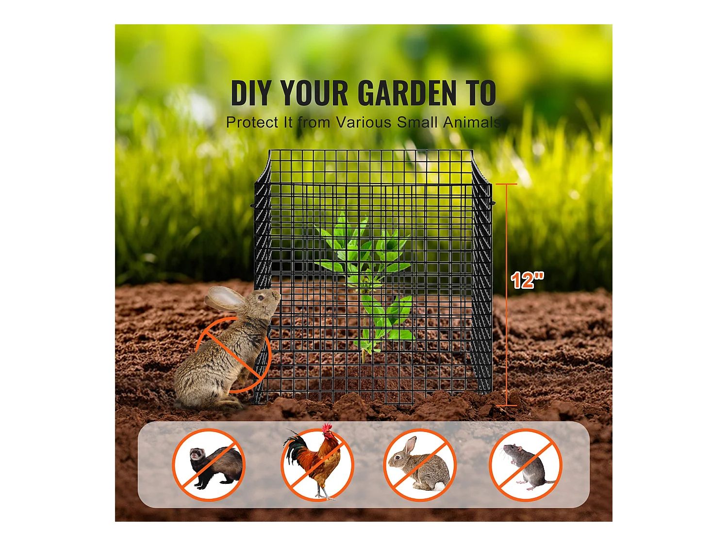 Cages et Supports pour Plantes SucceBuy 30,5 x 30,5 cm, 10 Pièces, Protections pour Animaux pour Légumes