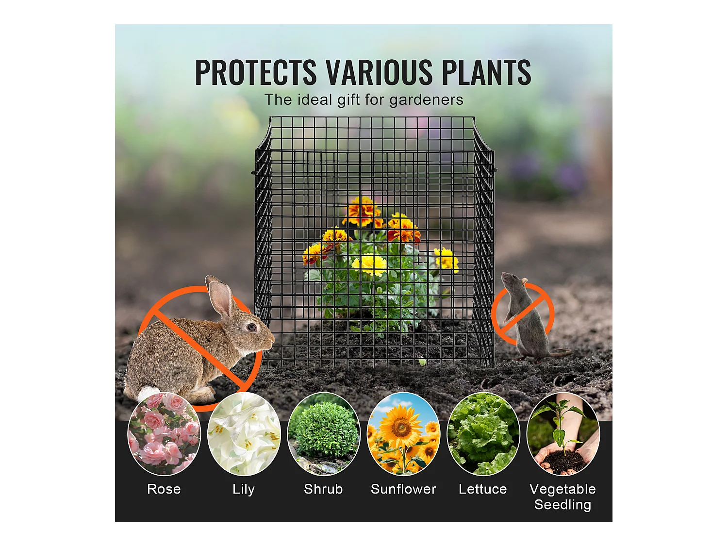 Cages et Supports pour Plantes SucceBuy 30,5 x 30,5 cm, 10 Pièces, Protections pour Animaux pour Légumes