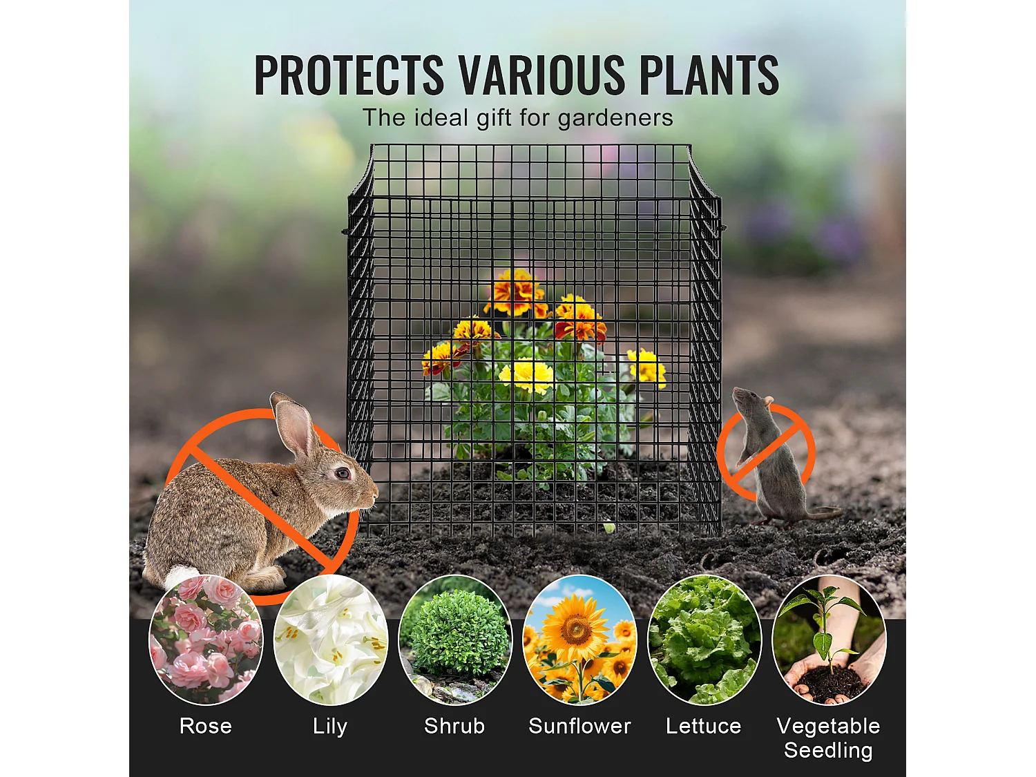 Cages et Supports pour Plantes SucceBuy 30,5 x 30,5 cm, 10 Pièces, Protections pour Animaux pour Légumes