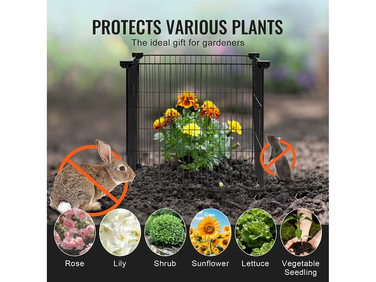 Cages et Supports pour Plantes SucceBuy 39 x 39 cm, 5 Pièces, Protections pour Animaux pour Jardin