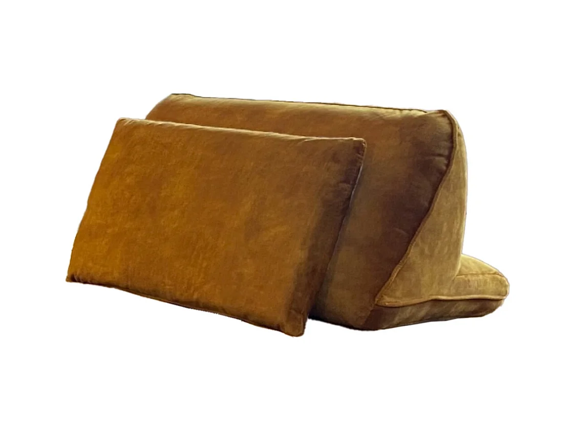 Coussin - or Velours - WIOLO