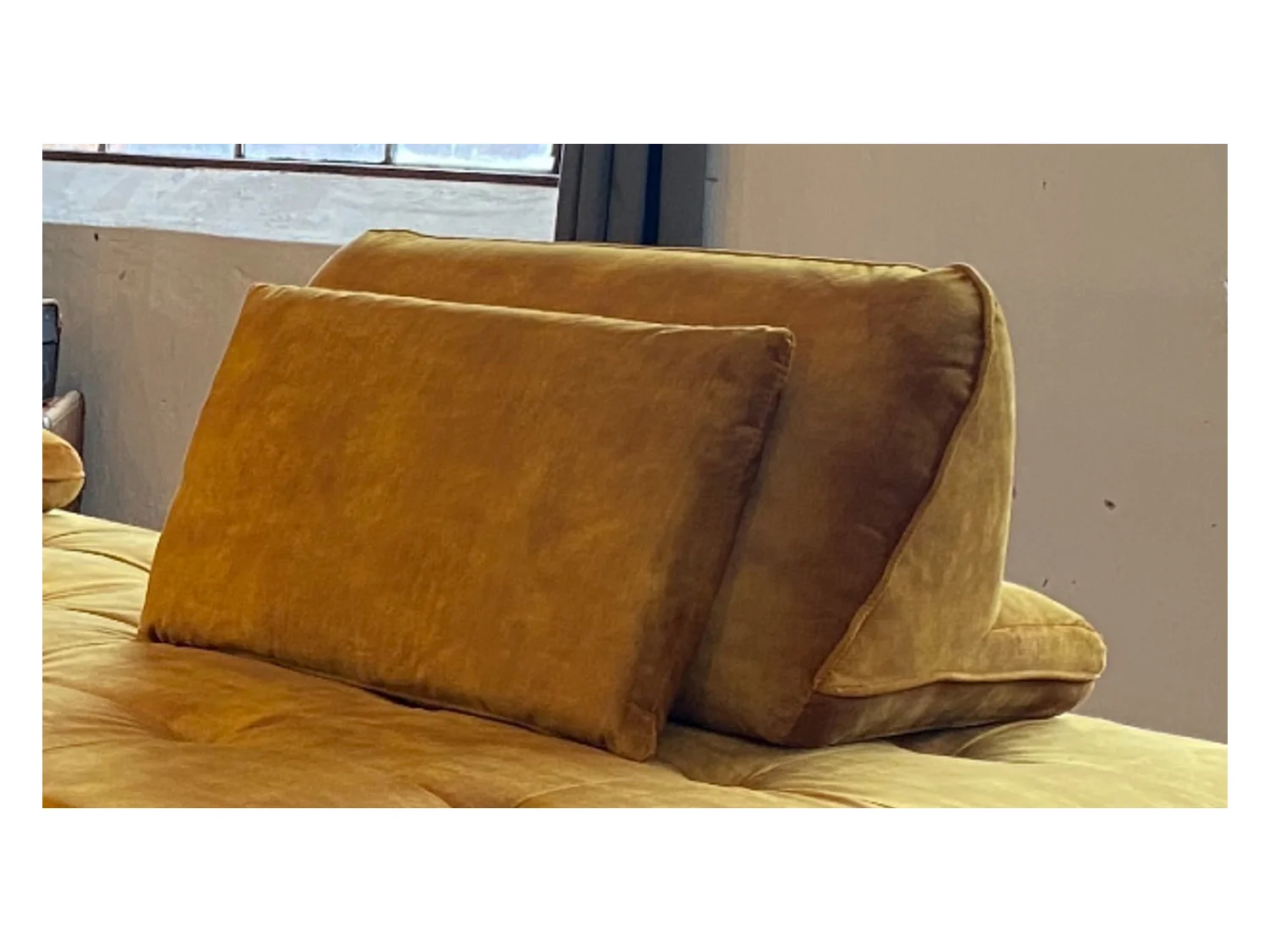 Coussin - or Velours - WIOLO