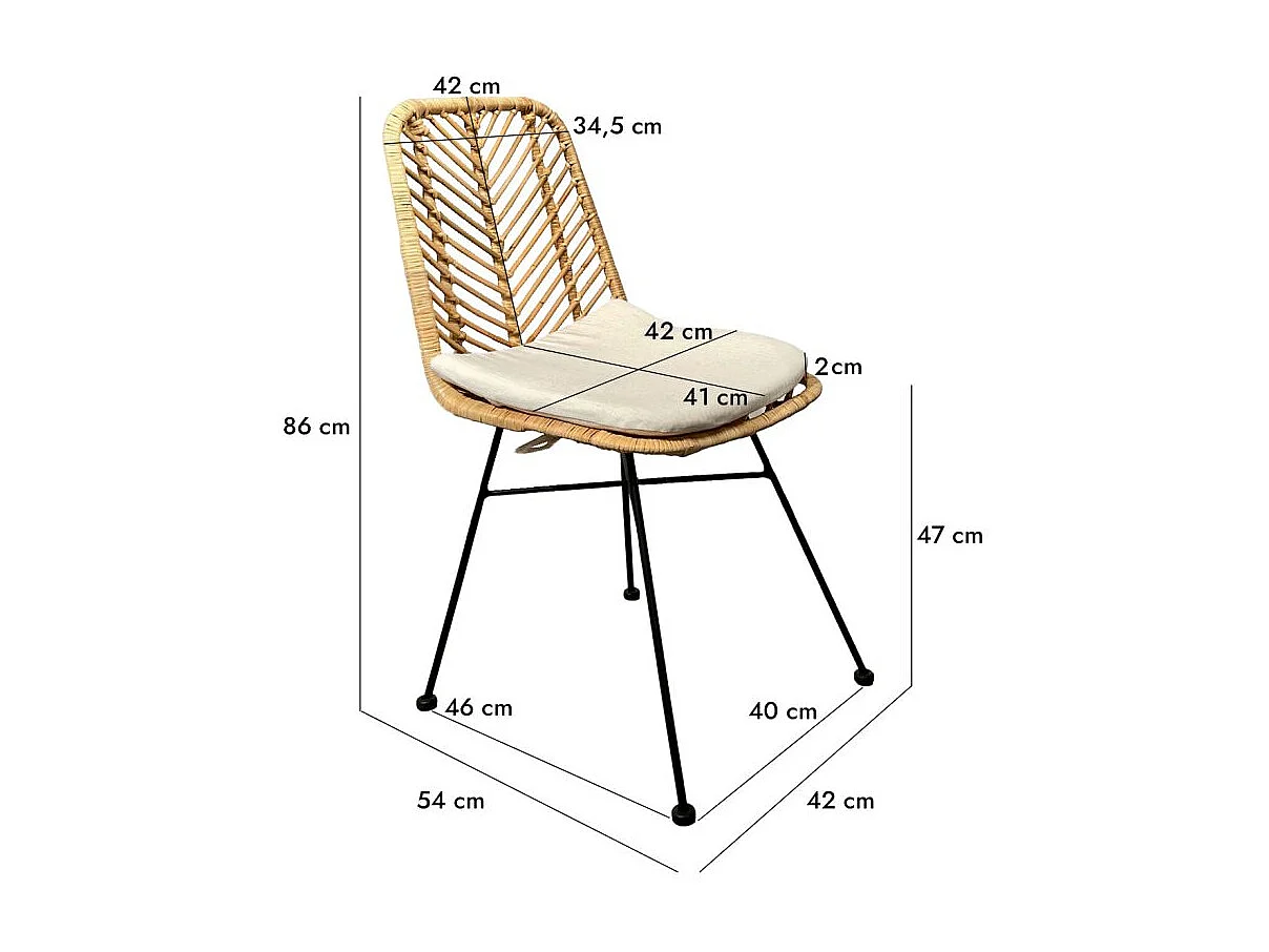 Lot 2 chaises en rotin naturel tressé et pieds métal noir – KANDY 2
