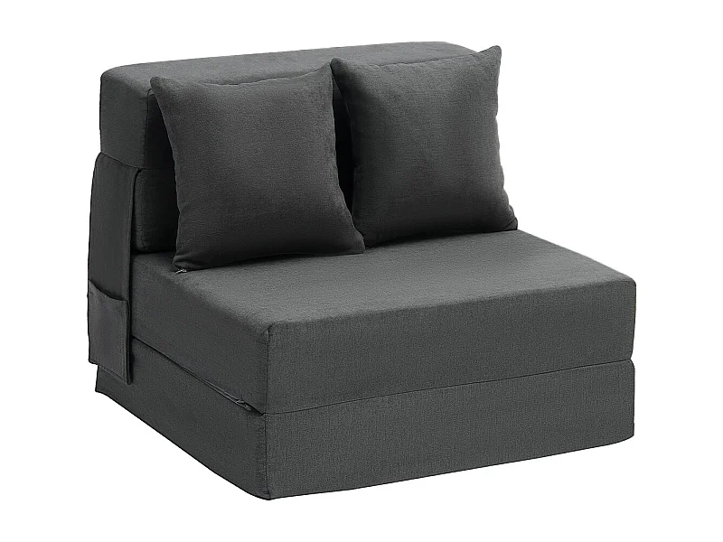 Canapé-Lit Pliant SucceBuy, 3 en 1 Pliable avec 2 Oreillers, Gris Foncé, Simple