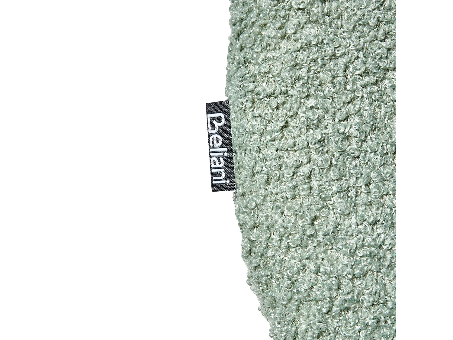 Set of 2 Chairs ADAIR Boucle Light Green