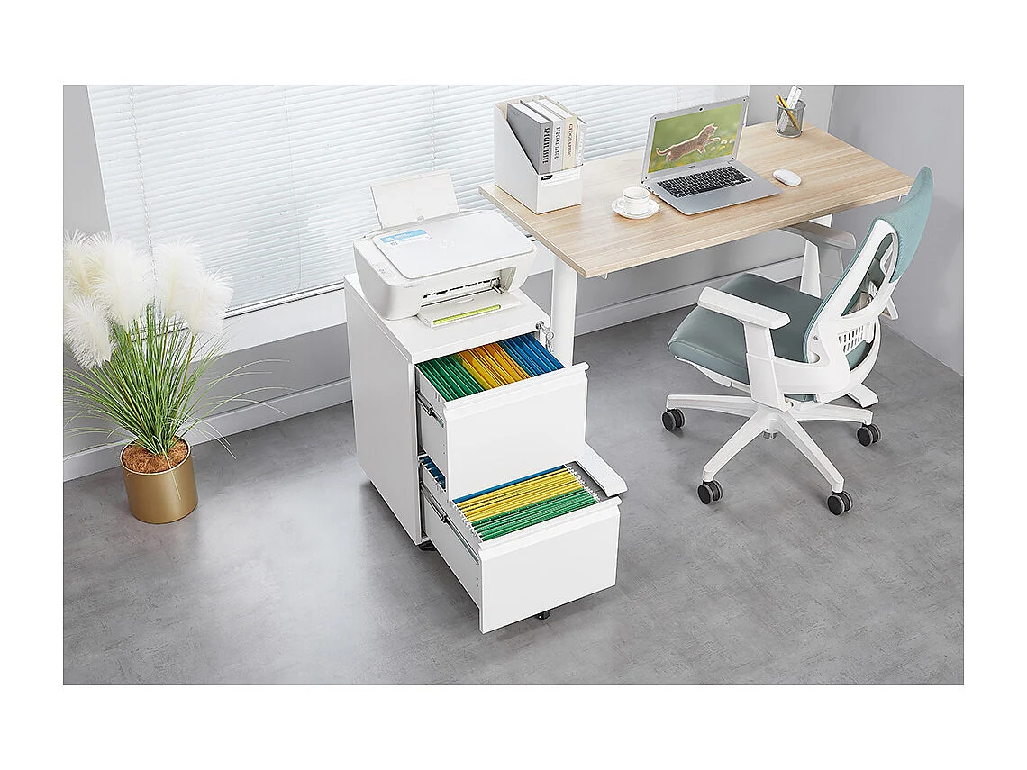 Classeur métallique mobile à 2 tiroirs avec serrure classeur de bureau en acier sous le bureau classeur de rangement blanc