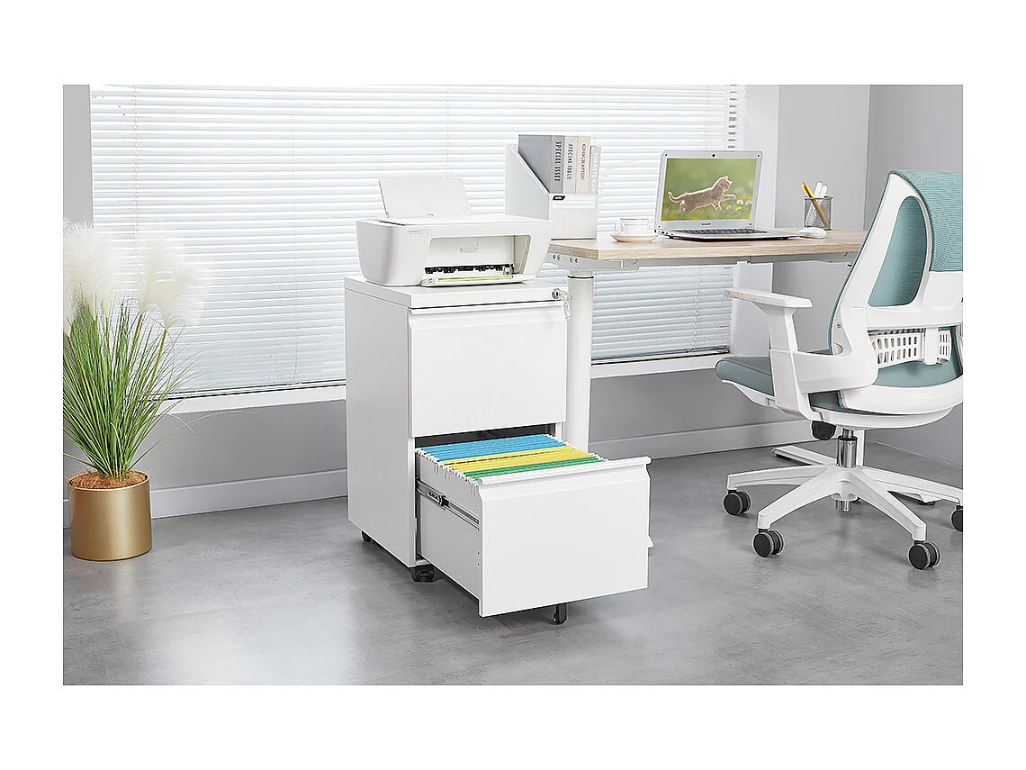 Classeur métallique mobile à 2 tiroirs avec serrure classeur de bureau en acier sous le bureau classeur de rangement blanc