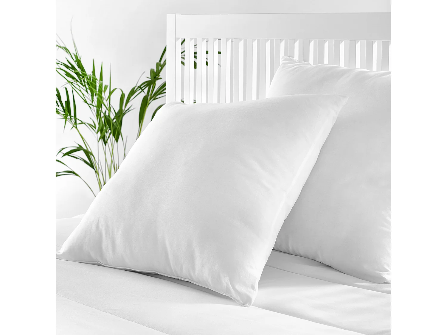 Coussin anti-acariens moyennement ferme