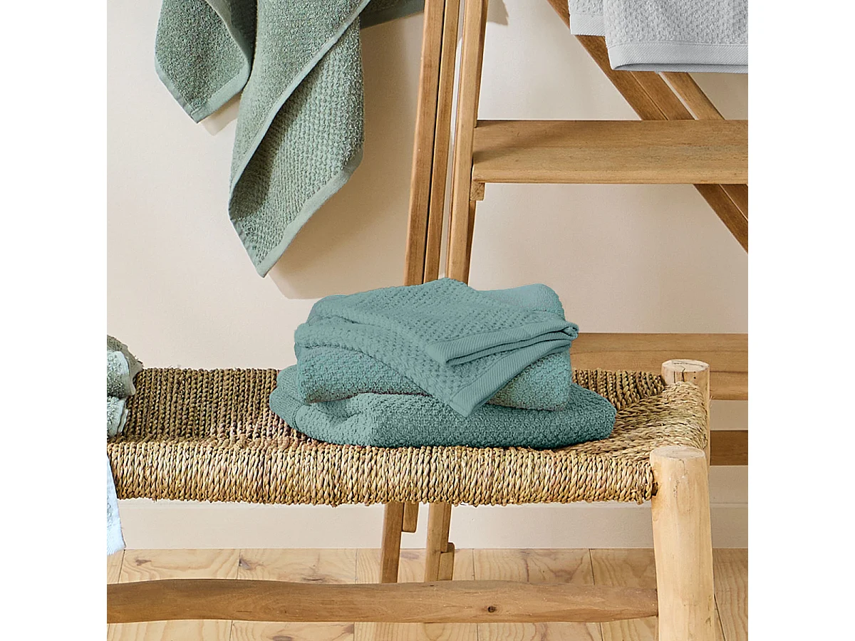 Lot 2 serviettes de bain et 2 gants de toilette