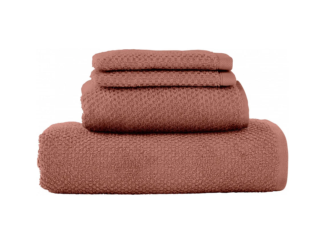 Lot 2 serviettes de bain et 2 gants de toilette