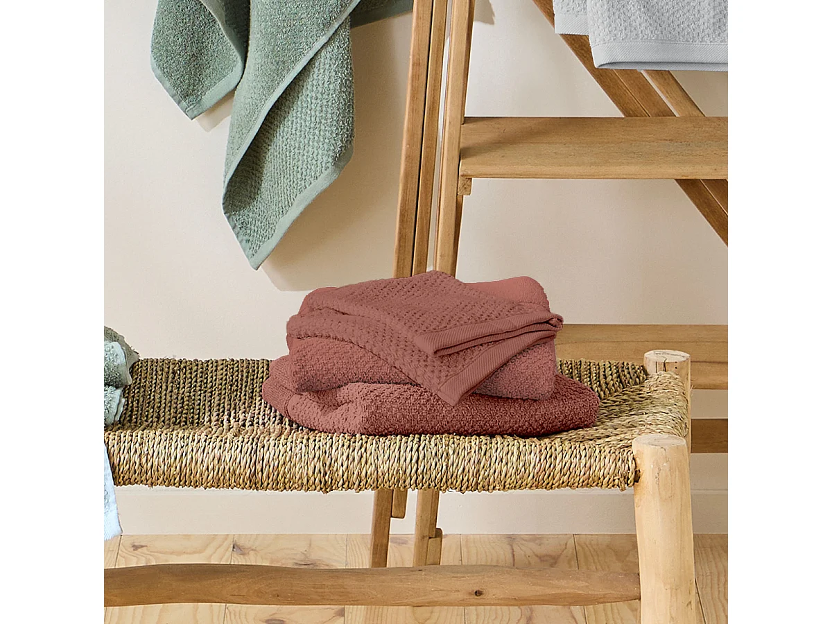 Lot 2 serviettes de bain et 2 gants de toilette