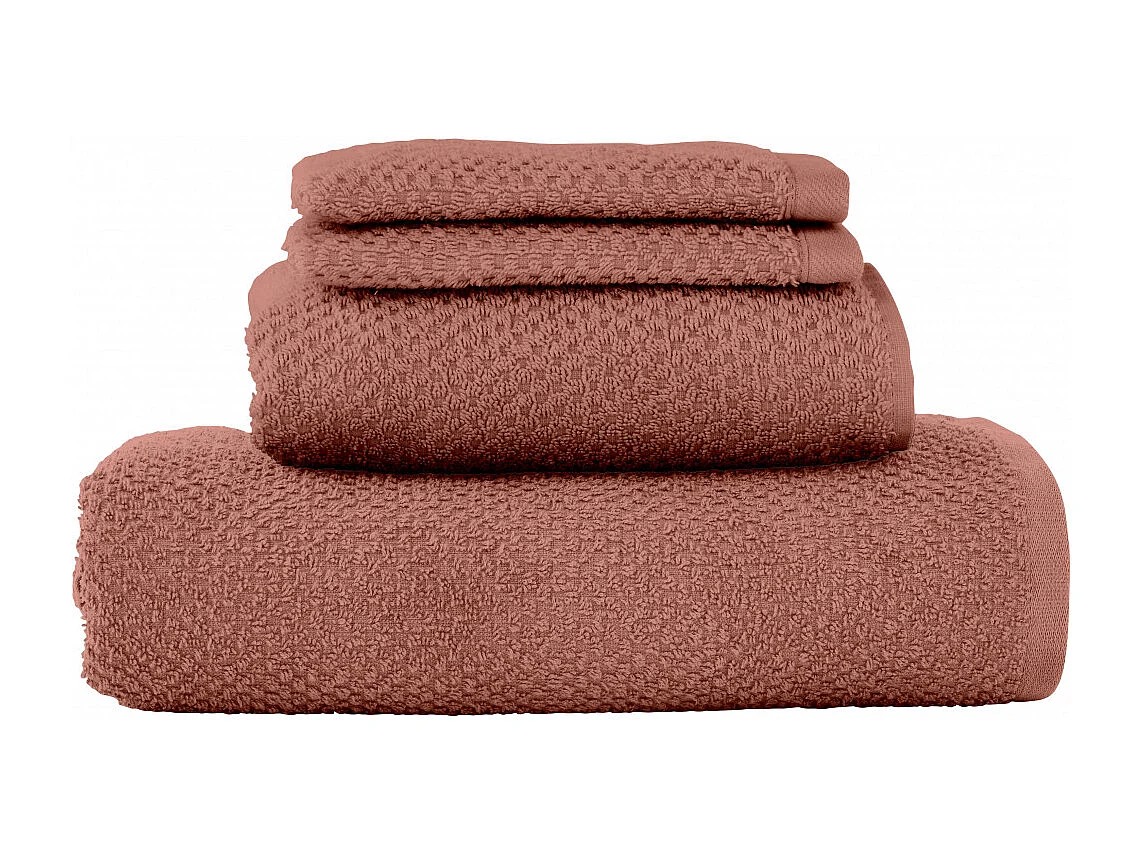 Lot 2 serviettes de bain et 2 gants de toilette