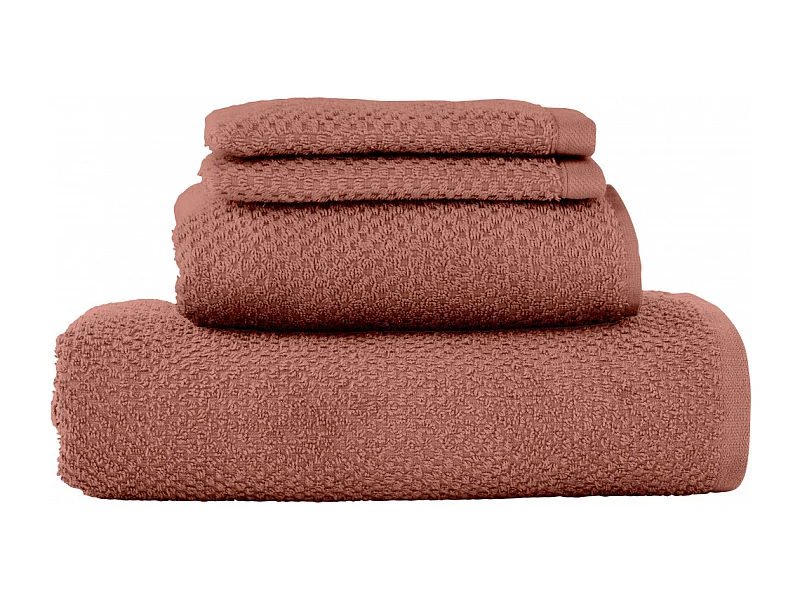 Lot 2 serviettes de bain et 2 gants de toilette