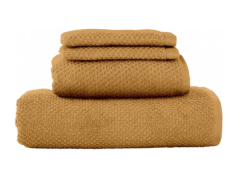 Lot 2 serviettes de bain et 2 gants de toilette