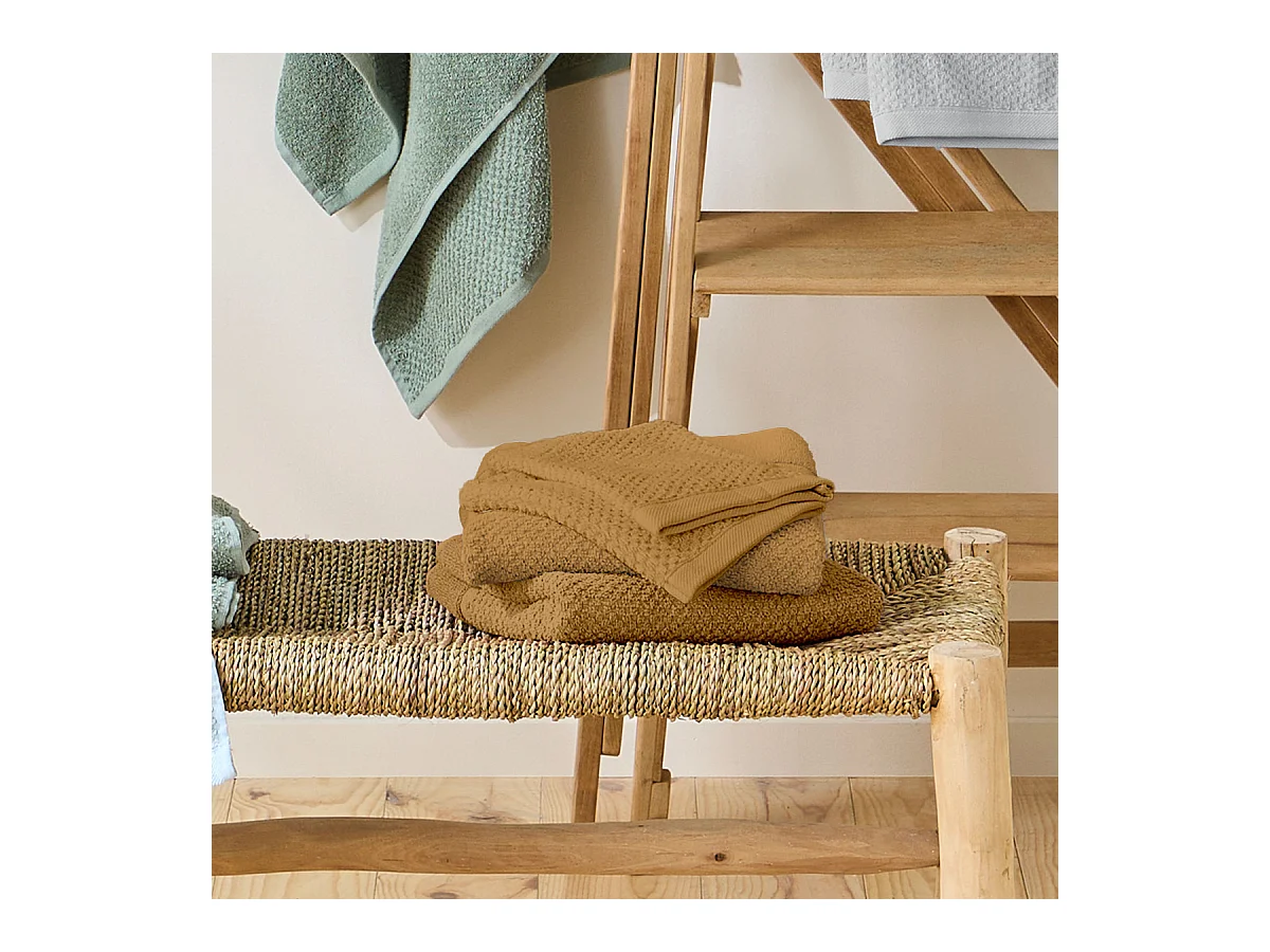 Lot 2 serviettes de bain et 2 gants de toilette