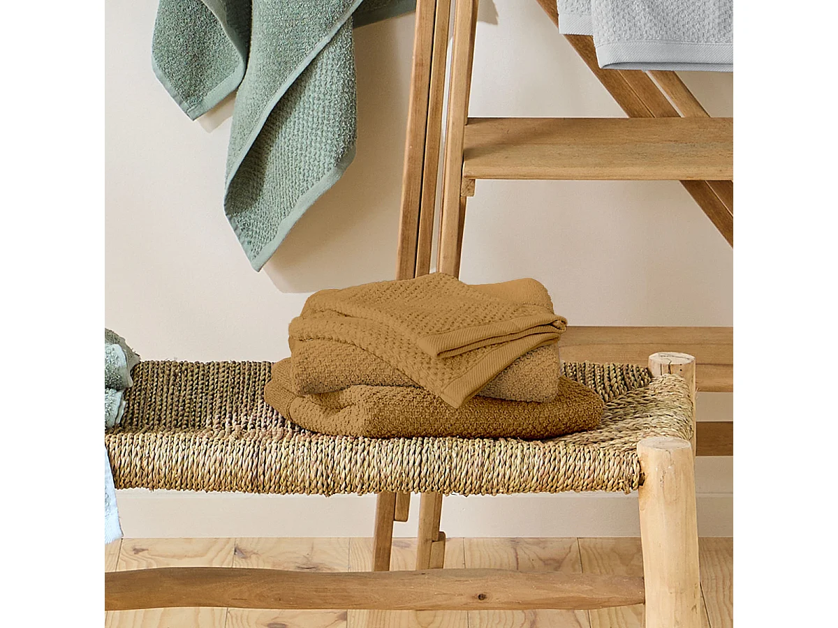 Lot 2 serviettes de bain et 2 gants de toilette