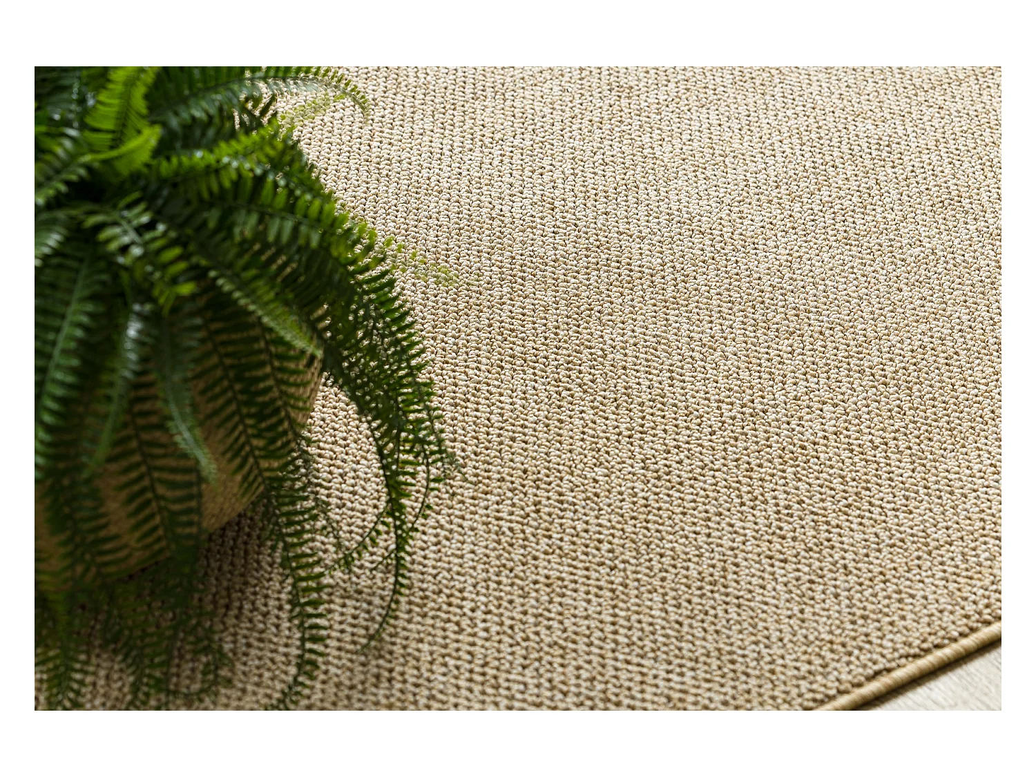 Teppich CASABLANCA LOOM beige, Schleife weich drinnen & draußen 350x400 cm