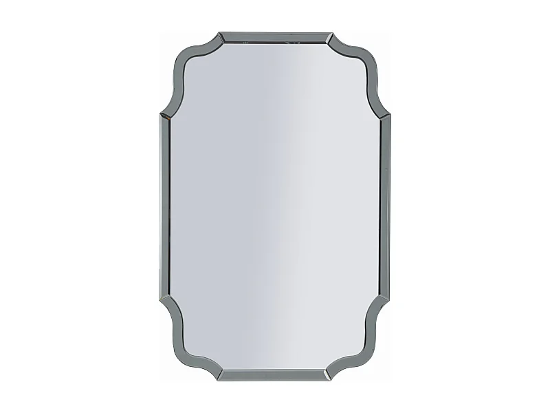 Miroir mural avec cadre en verre gris cm 60x1x90