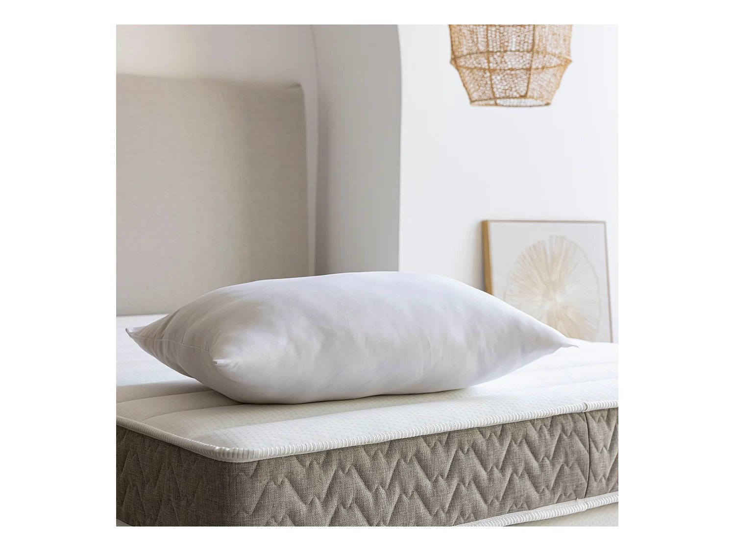 Oreiller coton ferme 65x65 - SOMEO