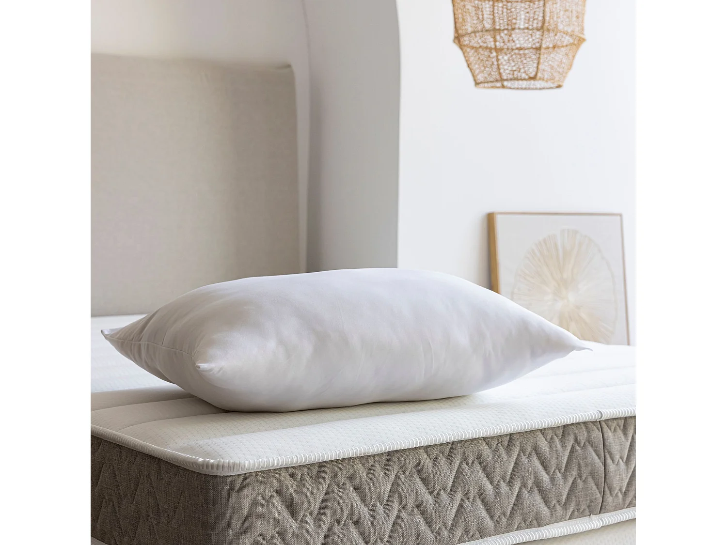 Oreiller coton ferme 60x60 - SOMEO