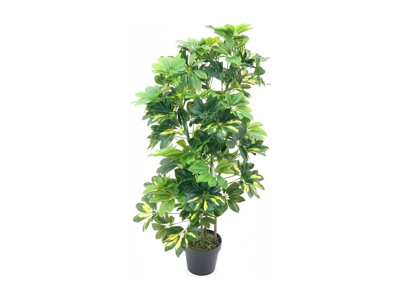 Pianta artificiale Schefflera foglie verdi e vaso – Altezza 96 cm