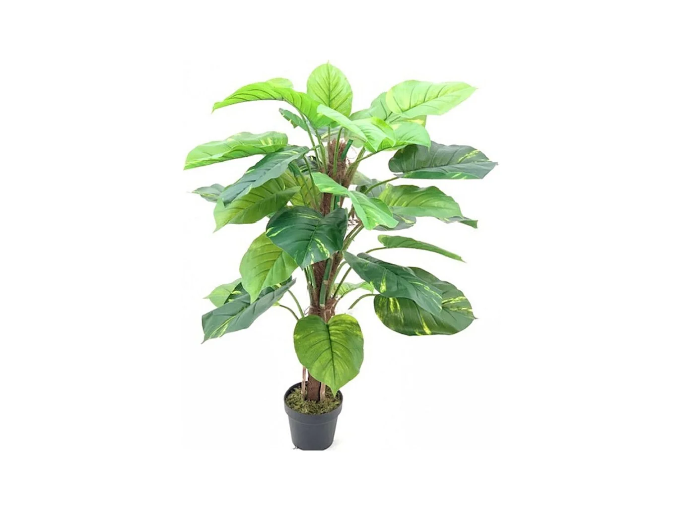 Pianta artificiale Photos foglie verdi e vaso – Altezza 120 cm