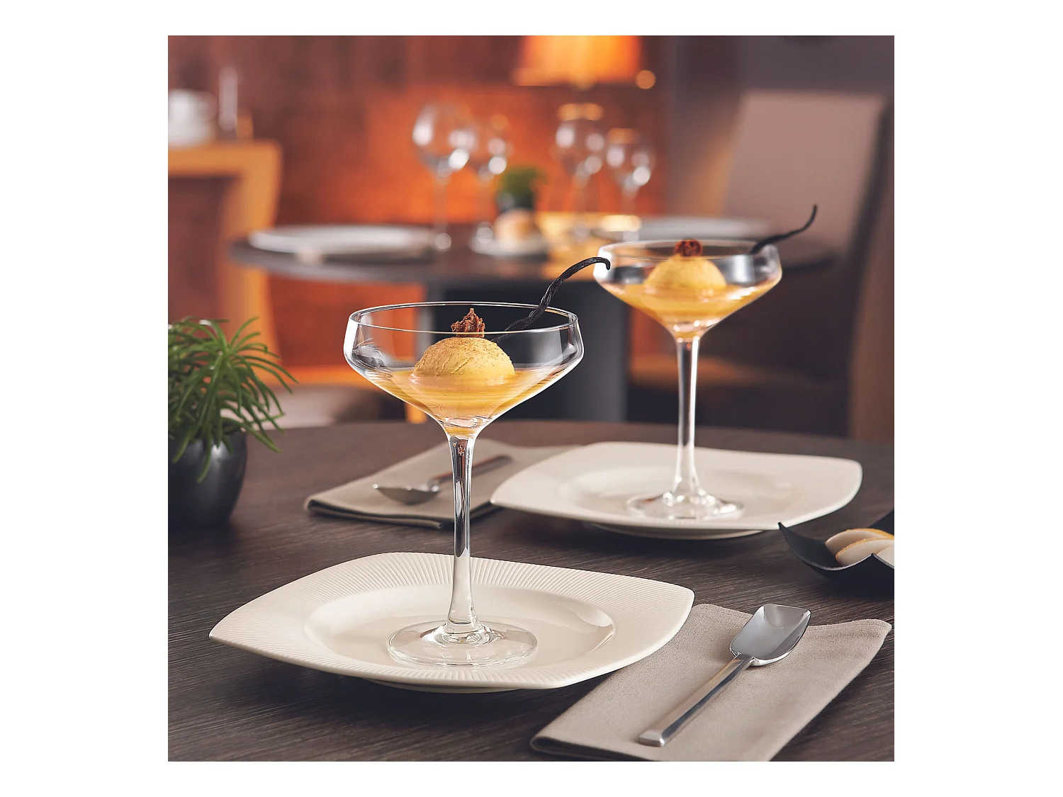 Champagne & Cocktail - 6 coupes Martini 30 cl