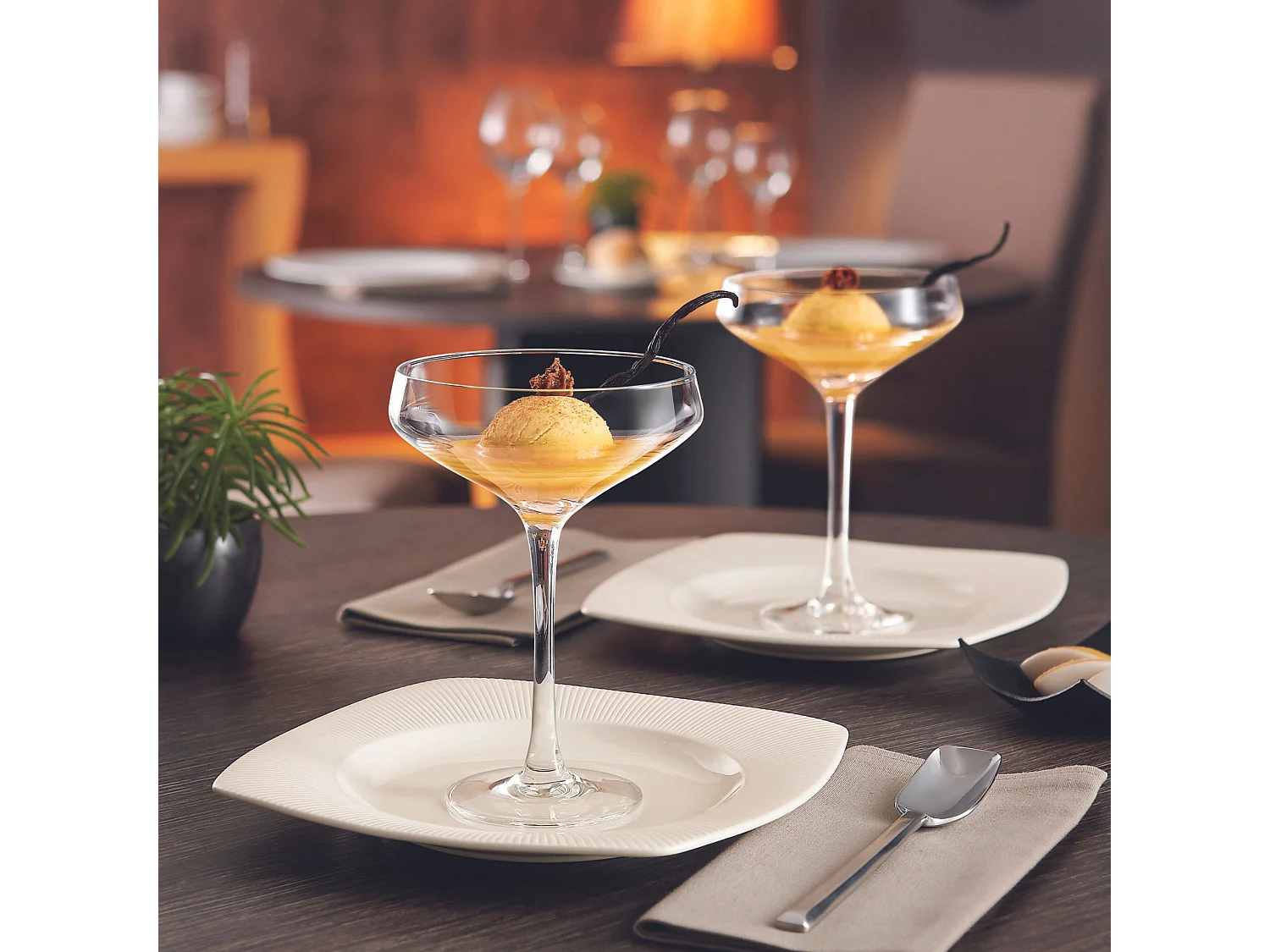 Champagne & Cocktail - 6 coupes Martini 30 cl