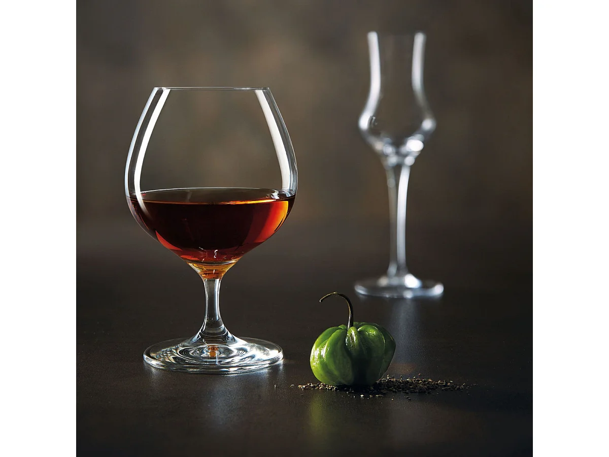 Spirits - 6 verres à grappa 10cl