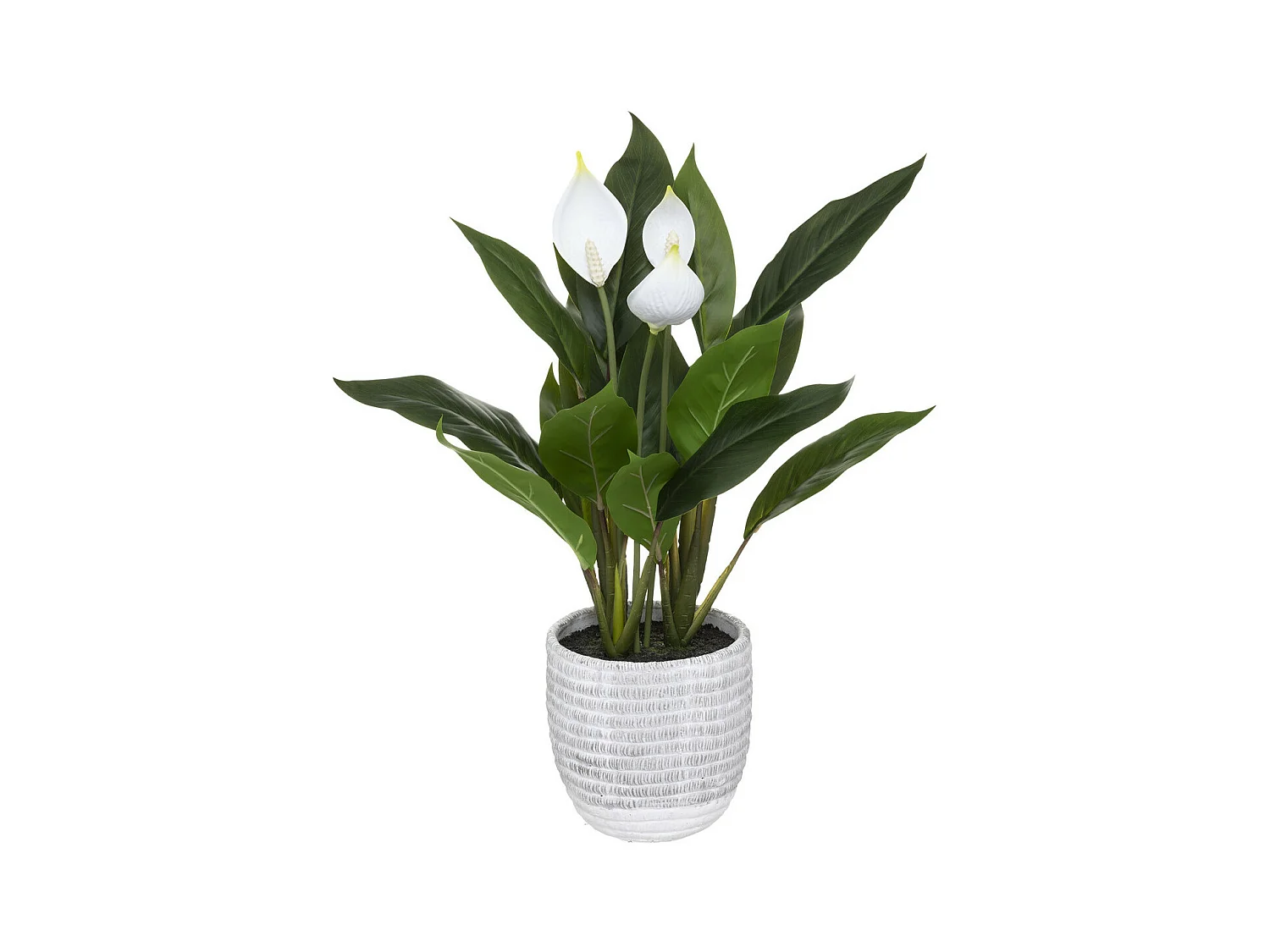 Plante artificielle Lys de la paix en pot H 54 cm