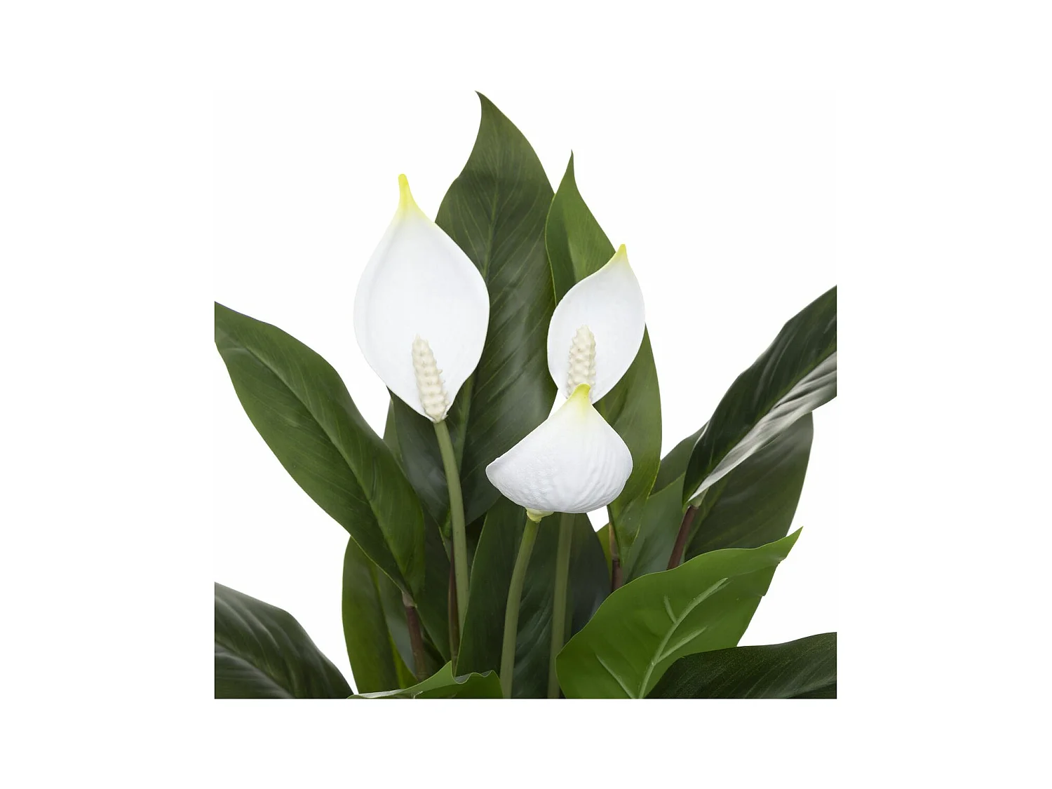 Plante artificielle Lys de la paix en pot H 54 cm