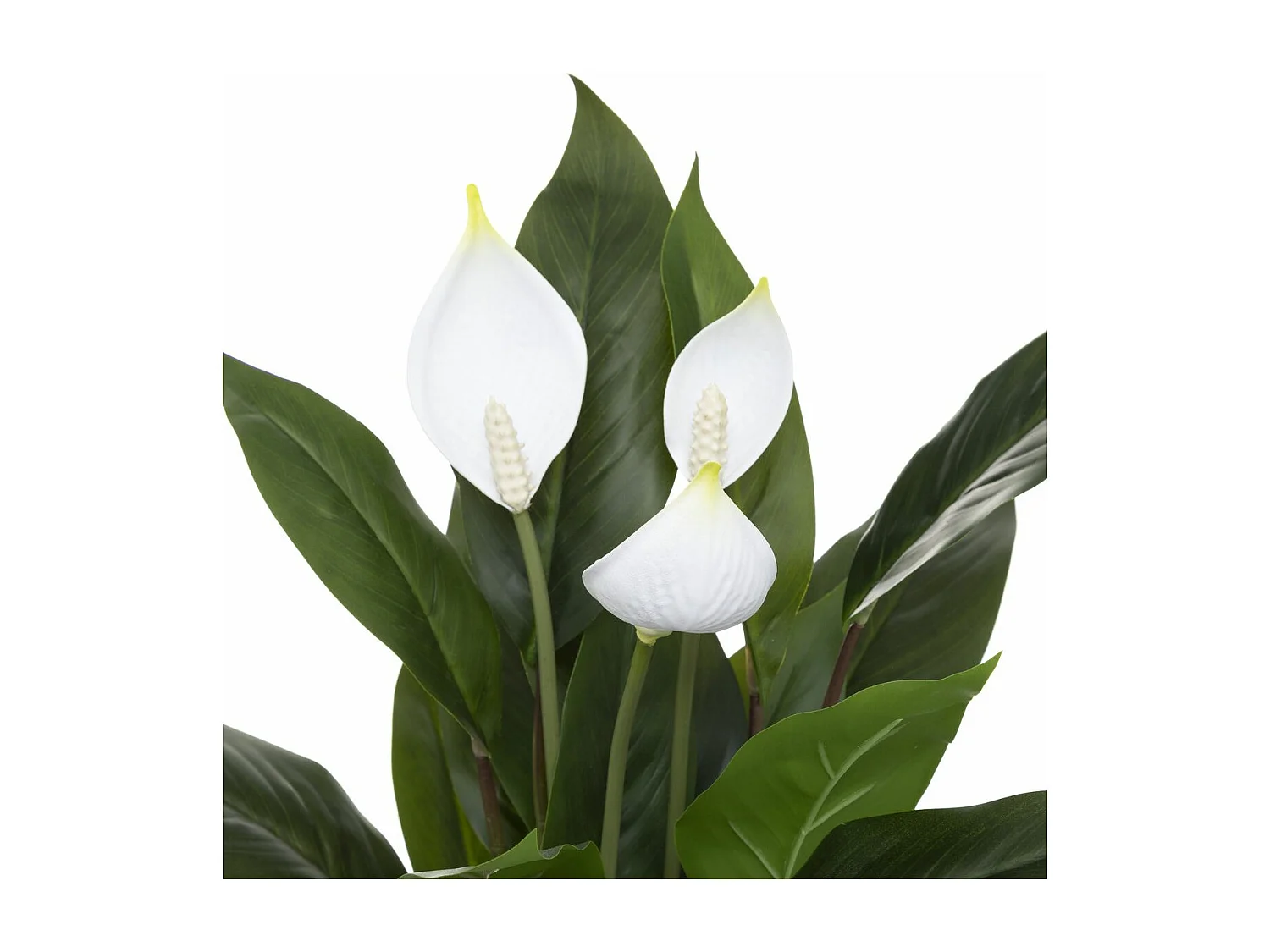 Plante artificielle Lys de la paix en pot H 54 cm