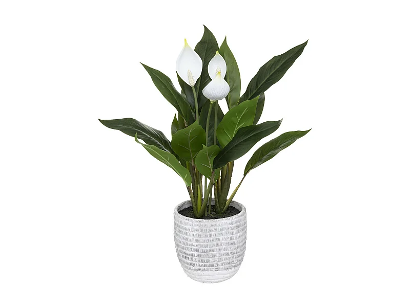 Plante artificielle Lys de la paix en pot H 54 cm