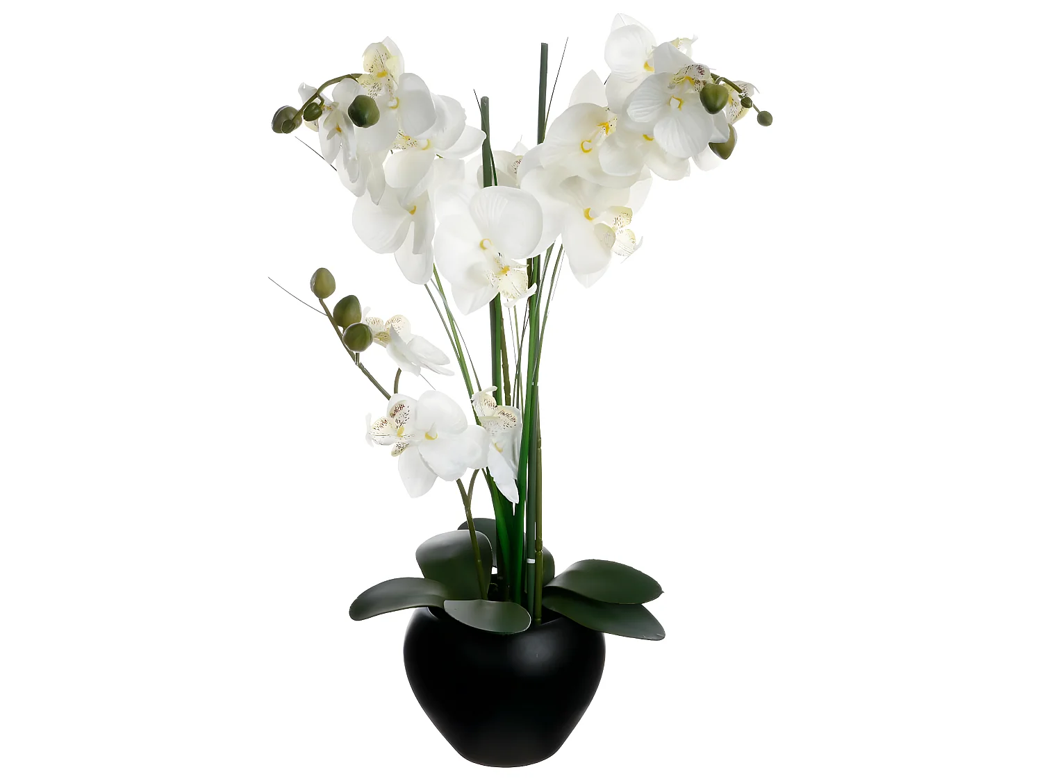 Plante artificielle Orchidée dans un pot en céramique noire H 53 cm